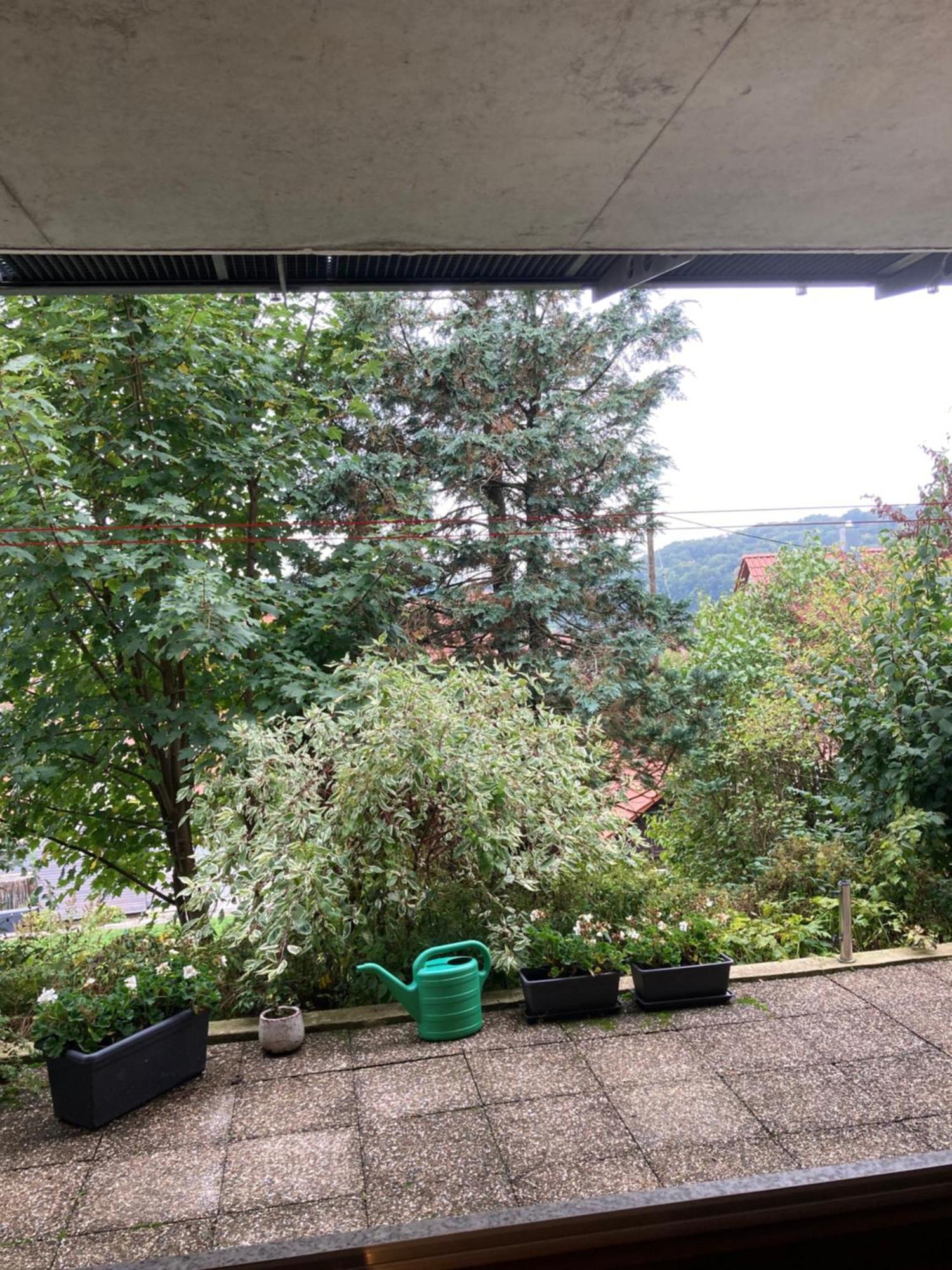 Lichtdurchflutete Ferienwohnung Sankt Johann  エクステリア 写真